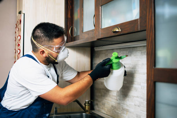 Best Wasp Removal Services  in Mary Esther, FL