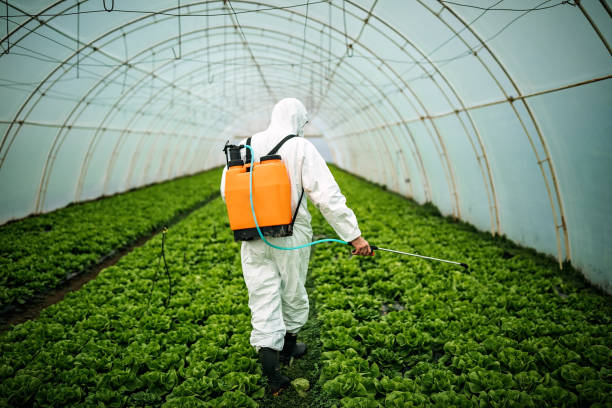Best Best Pest Control Companies  in Mary Esther, FL